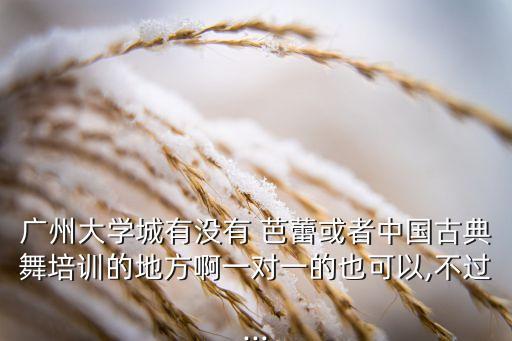 广州大学城有没有 芭蕾或者中国古典舞培训的地方啊一对一的也可以,不过...
