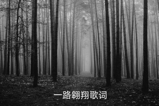  一路翱翔歌词