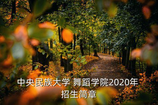 中央民族大学 舞蹈学院2020年 招生简章