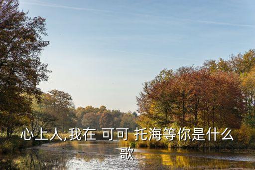 心上人,我在 可可 托海等你是什么歌