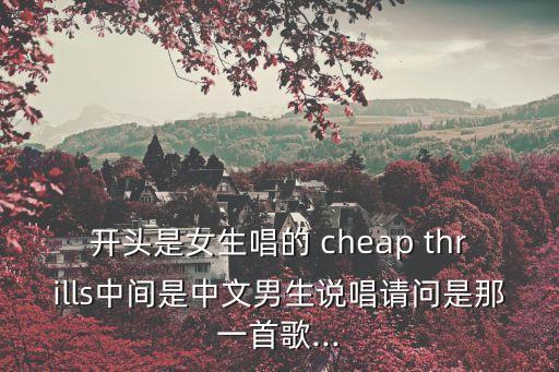 开头是女生唱的 cheap thrills中间是中文男生说唱请问是那一首歌...