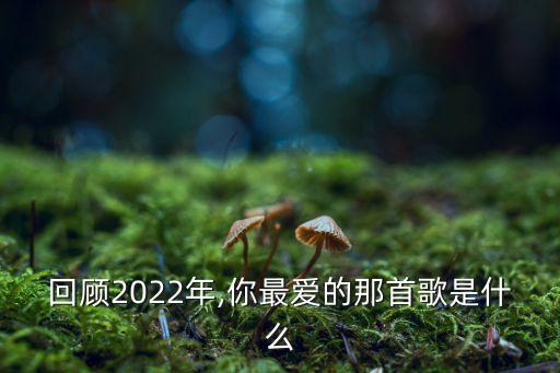 回顾2022年,你最爱的那首歌是什么