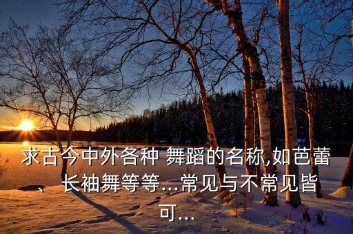 长袖舞的舞蹈作品,行云赋舞蹈作品舞评