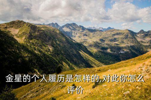 金星的个人履历是怎样的,对此你怎么评价