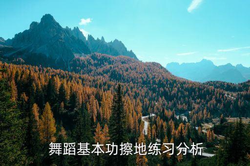  舞蹈基本功擦地练习分析