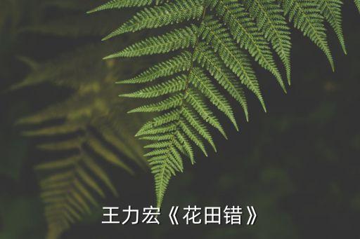 王力宏《花田错》
