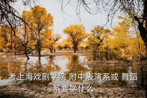 舞蹈附中第一节课,舞蹈新生班第一节课的流程