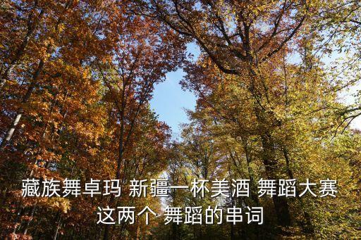 《新疆舞曲》舞蹈大全