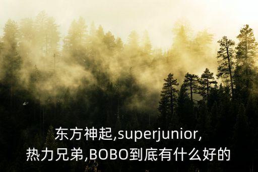 东方神起,superjunior,热力兄弟,BOBO到底有什么好的