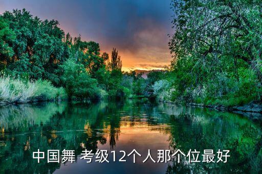 中国舞 考级12个人那个位最好