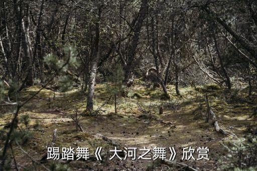 一条大河舞蹈视频
