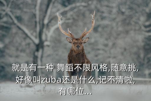 就是有一种 舞蹈不限风格,随意挑,好像叫zuba还是什么,记不清啦,有哪位...