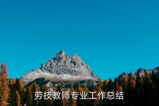 劳技教师专业工作总结