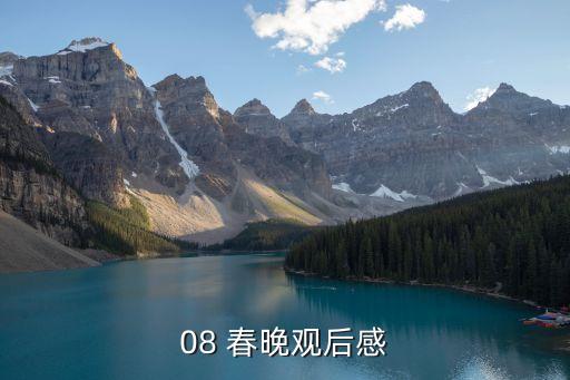 08 春晚观后感