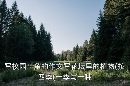 写校园一角的作文写花坛里的植物(按四季(一季写一种