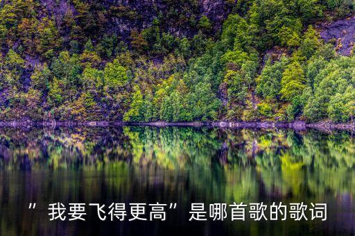 ”我要飞得更高”是哪首歌的歌词