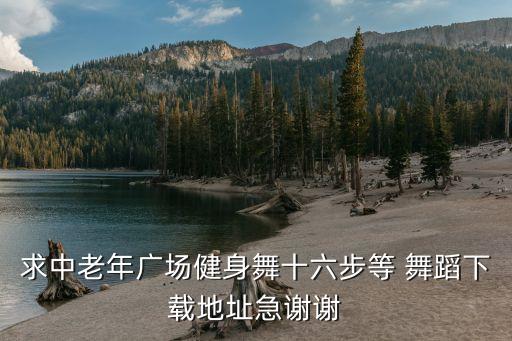 求中老年广场健身舞十六步等 舞蹈下载地址急谢谢