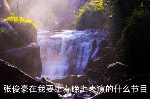 张俊豪在我要上春晚上表演的什么节目