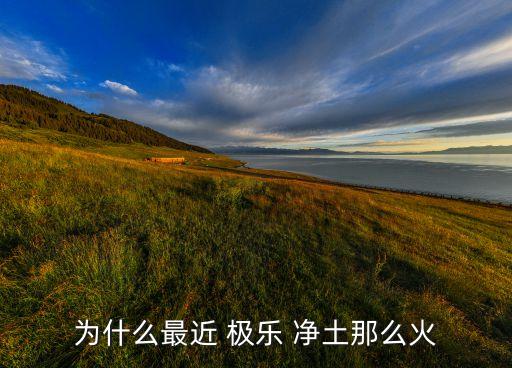 为什么最近 极乐 净土那么火
