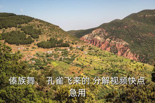 傣族舞、 孔雀飞来的 分解视频快点急用