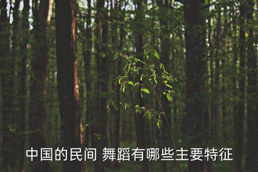 中国的民间 舞蹈有哪些主要特征