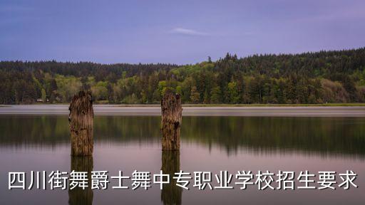 中职舞蹈表演