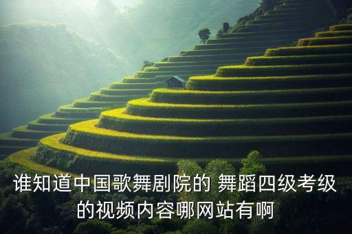 谁知道中国歌舞剧院的 舞蹈四级考级的视频内容哪网站有啊