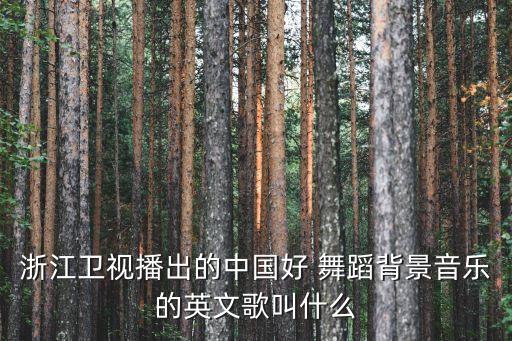 浙江卫视播出的中国好 舞蹈背景音乐的英文歌叫什么