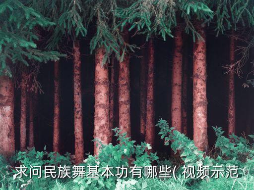 求问民族舞基本功有哪些( 视频示范