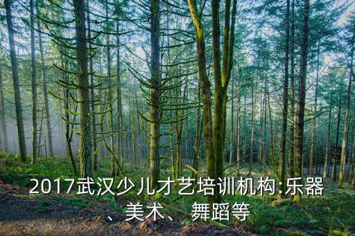 2017武汉少儿才艺培训机构:乐器、美术、 舞蹈等