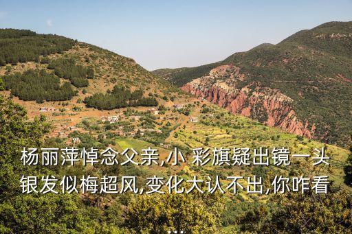 杨丽萍悼念父亲,小 彩旗疑出镜一头银发似梅超风,变化大认不出,你咋看...