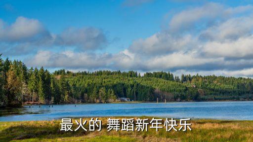 最火的 舞蹈新年快乐