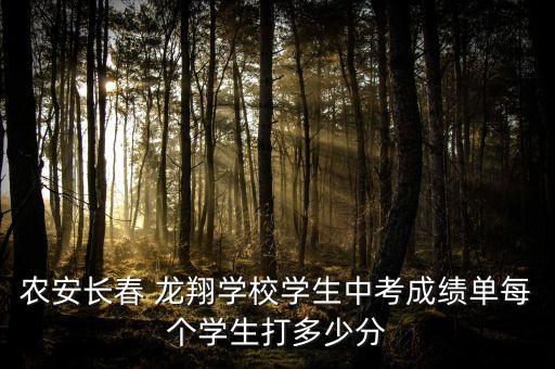 农安长春 龙翔学校学生中考成绩单每个学生打多少分