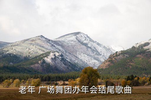 老年 广场舞团办年会结尾歌曲