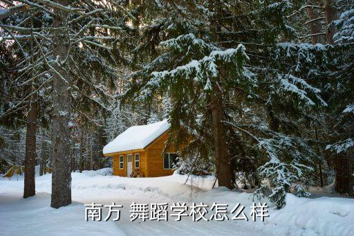 南方 舞蹈学校怎么样