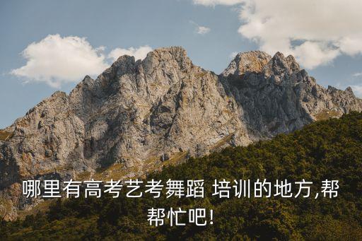 哪里有高考艺考舞蹈 培训的地方,帮帮忙吧!