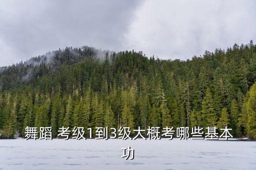 中国舞蹈学院考级一级