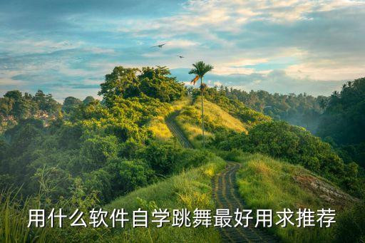 用什么软件自学跳舞最好用求推荐