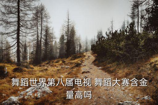  舞蹈世界第八届电视 舞蹈大赛含金量高吗