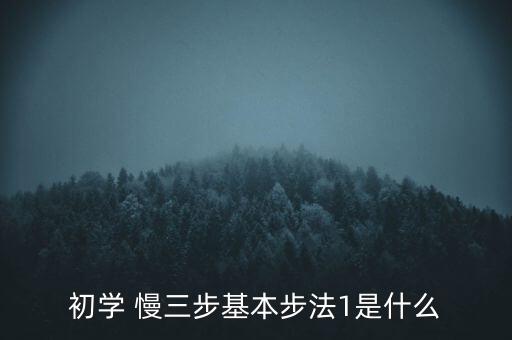 初学 慢三步基本步法1是什么