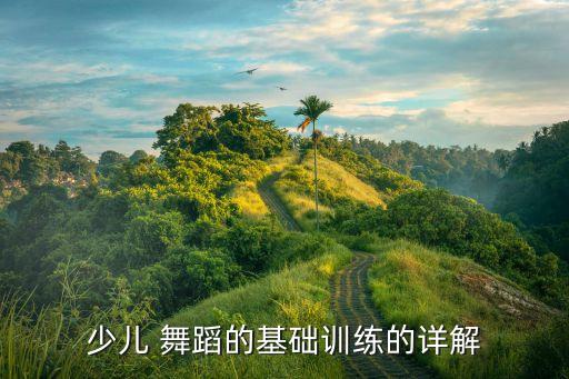 少儿 舞蹈的基础训练的详解