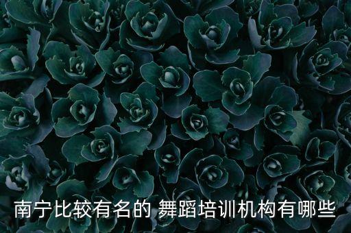 南宁比较有名的 舞蹈培训机构有哪些