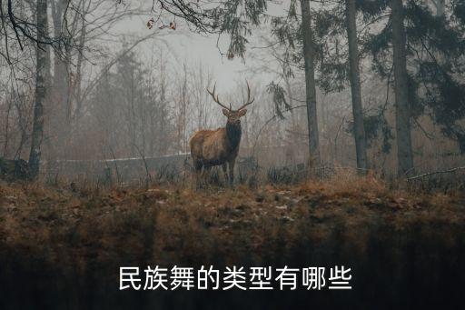  民族舞的类型有哪些