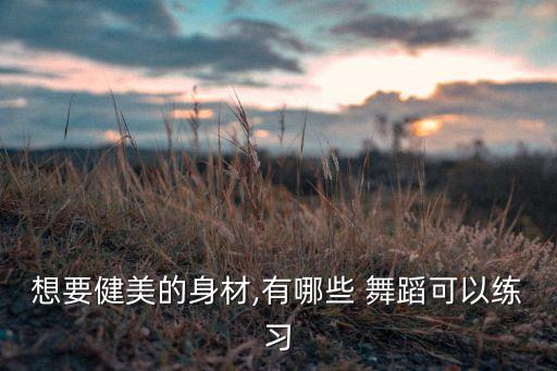 想要健美的身材,有哪些 舞蹈可以练习