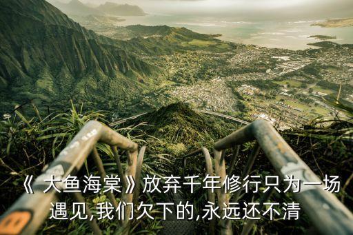 《 大鱼海棠》放弃千年修行只为一场遇见,我们欠下的,永远还不清
