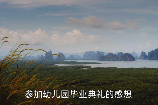 参加幼儿园毕业典礼的感想