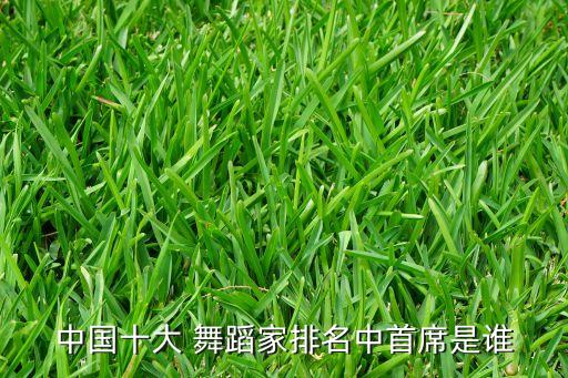 中国十大 舞蹈家排名中首席是谁