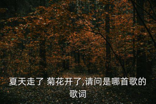 夏天走了 菊花开了,请问是哪首歌的歌词