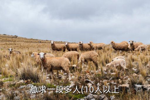 8个女生跳的舞蹈视频教程,魔法城堡舞蹈视频教程完整版女生