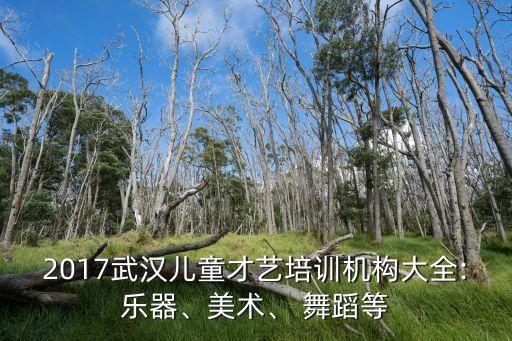 九为舞蹈,九儿舞蹈观后感